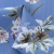 Плательная ткань "Фламенко" 12.1, 80 гр/м2, шир.150 см, принт растительный - купить в Зеленодольске. Цена 241.49 руб.