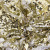 Трикотажное полотно, Сетка с пайетками, шир.130 см, #315, цв.-белый/золото - купить в Зеленодольске. Цена 693.39 руб.