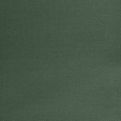 Оксфорд (Oxford) 240D 19-5917, PU/WR, 115 гр/м2, шир.150см, цвет т.зелёный - купить в Зеленодольске. Цена 154.09 руб.
