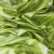Трикотажное полотно голограмма, шир.140 см, #602 -люм.салат - купить в Зеленодольске. Цена 385.88 руб.