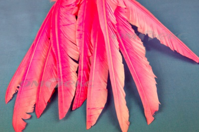 Декоративный Пучок из перьев, перо 25см/розовый - купить в Зеленодольске. Цена: 14.40 руб.