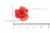Украшение "Розы малые №1" 20мм - купить в Зеленодольске. Цена: 32.49 руб.