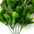 Трава искусственная -1, шт (эвкалипт лист 32 см/8 см)				 - купить в Зеленодольске. Цена: 169.93 руб.