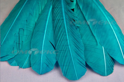 Декоративный Пучок из перьев, перо 24см/голубой - купить в Зеленодольске. Цена: 12.19 руб.