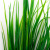 Трава искусственная -2, шт (осока 41см/8 см)				 - купить в Зеленодольске. Цена: 104.57 руб.