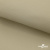 Ткань подкладочная TWILL 230T 14-1108, беж светлый 100% полиэстер,66 г/м2, шир.150 cм - купить в Зеленодольске. Цена 90.59 руб.