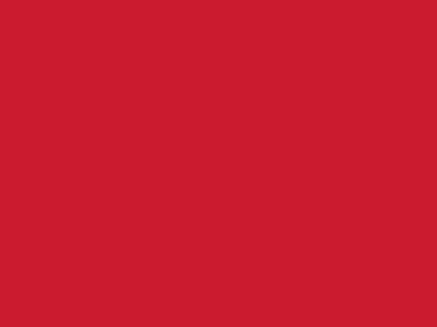 Сетка подкладочная красный, 60г/м2 (10 м/кг) - купить в Зеленодольске. Цена 885.73 руб.