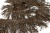 008-коричневый, Бахрома арт.001 шир.10см (упак.12+/-0,5м) - купить в Зеленодольске. Цена: 1 017.33 руб.
