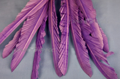 Декоративный Пучок из перьев, перо 25см/фиолетовый - купить в Зеленодольске. Цена: 12.19 руб.