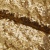 Сетка с пайетками №3, 188 гр/м2, шир.140см, цвет золотой - купить в Зеленодольске. Цена 454.12 руб.