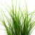 Трава искусственная -3, шт (осока 50 см/8 см  5 листов)				 - купить в Зеленодольске. Цена: 124.17 руб.