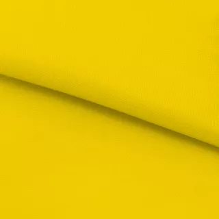 Желтый 13-0758 (1)